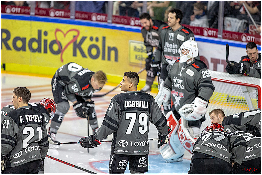 DEL; Koelner Haie - EHC Red Bull Muenchen, 17.02.2019